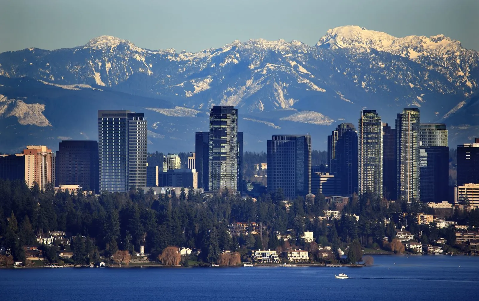 We make moving simple, fast, and stress-free for families and businesses in Bellevue, WA